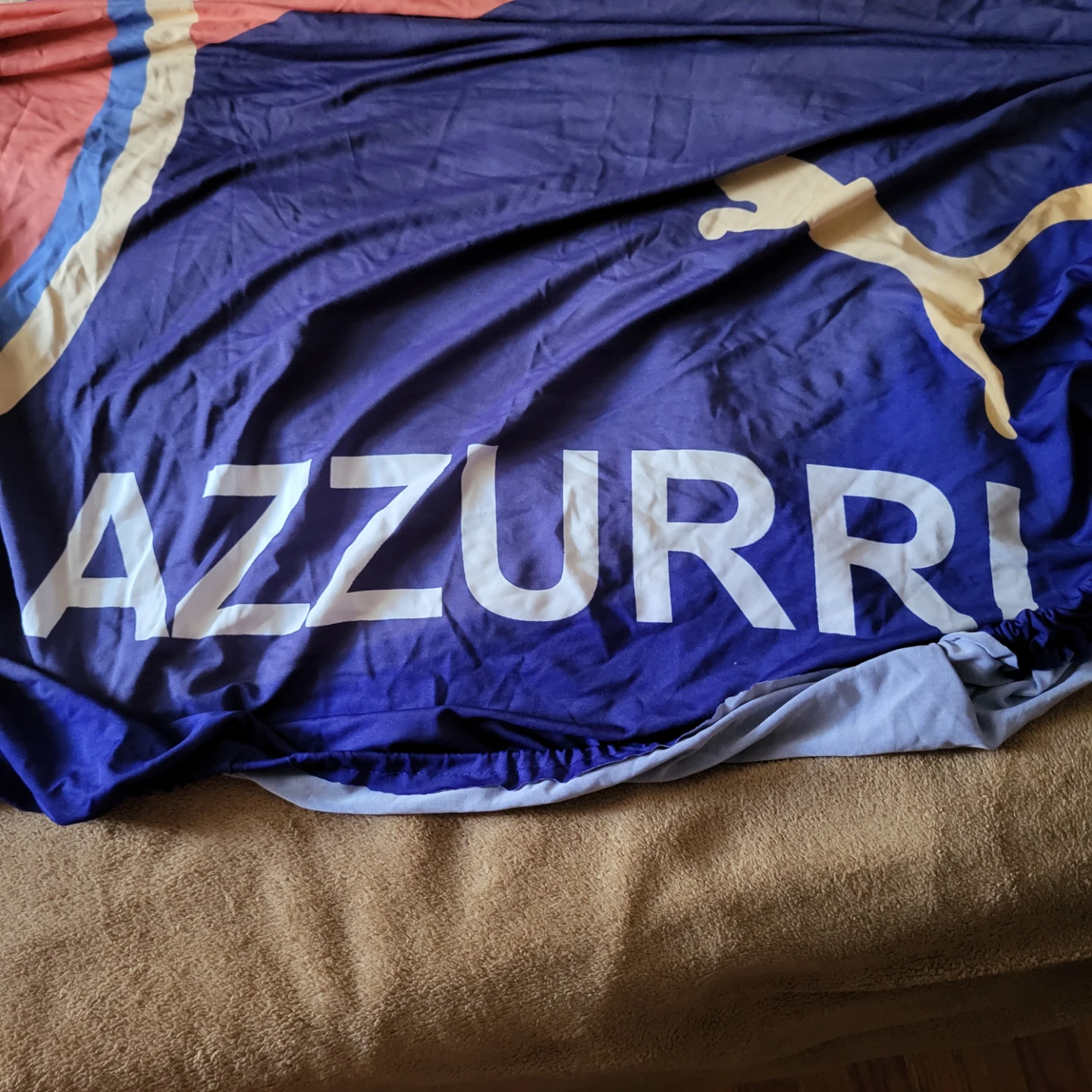 RAMRAM Italia Azzurri Car Hood Cover - photo 3