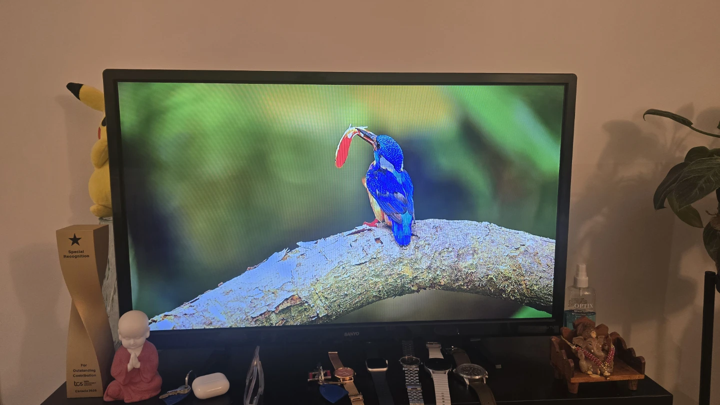 Sanyo Smart TV - photo 2