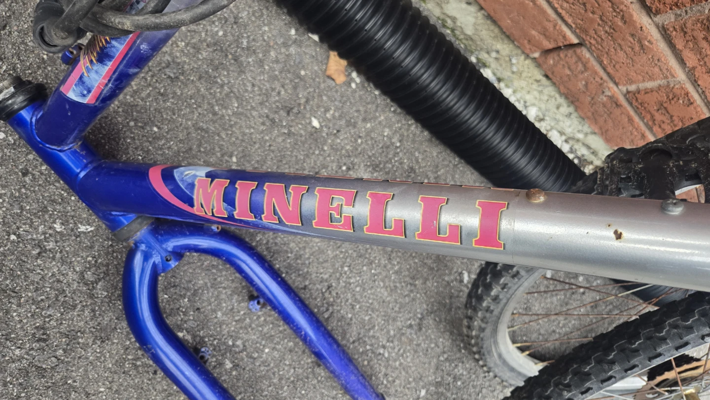Bike frame and tires - photo 2