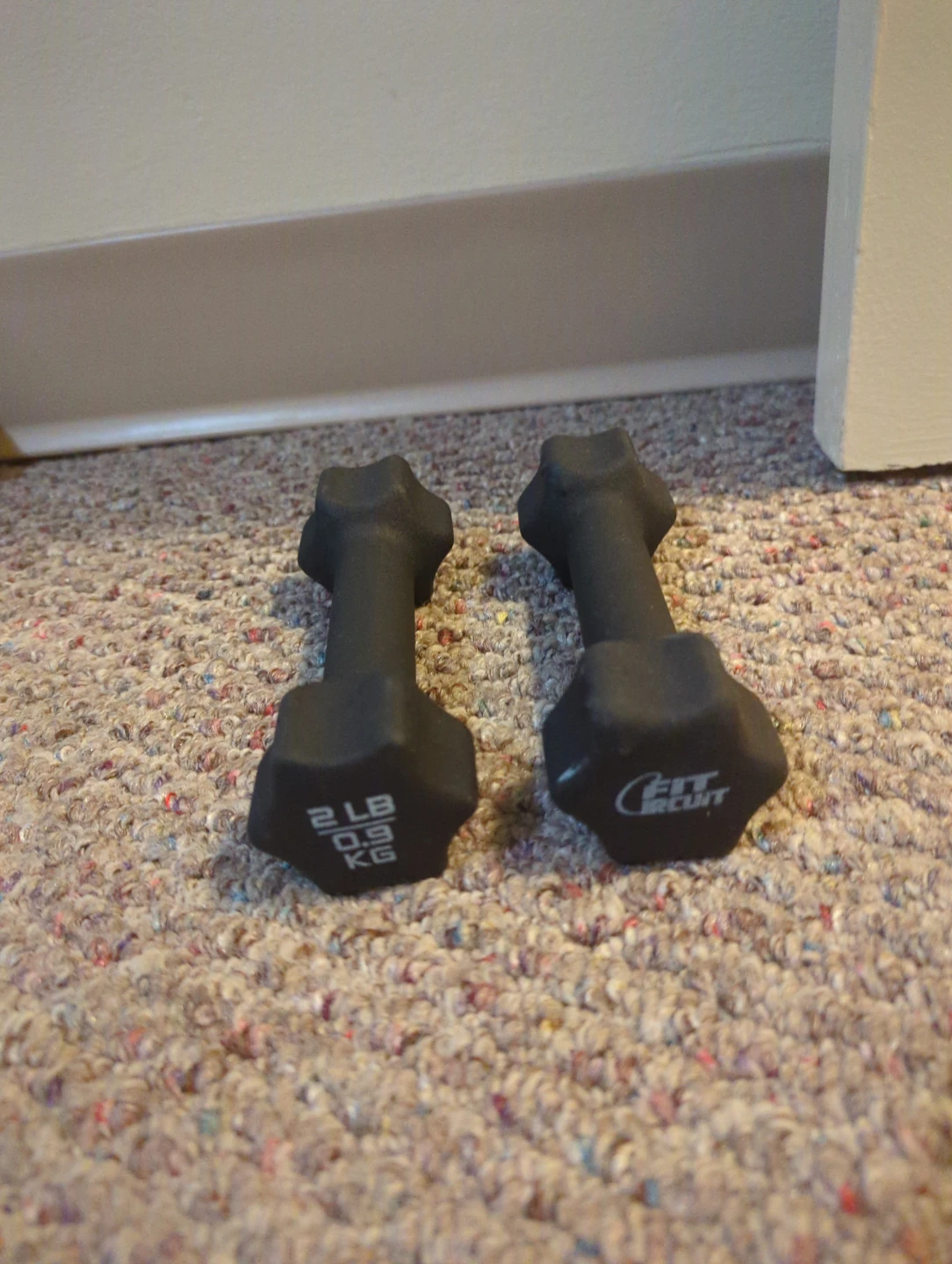 Fit Circuit 2 lb Dumbbell Pair