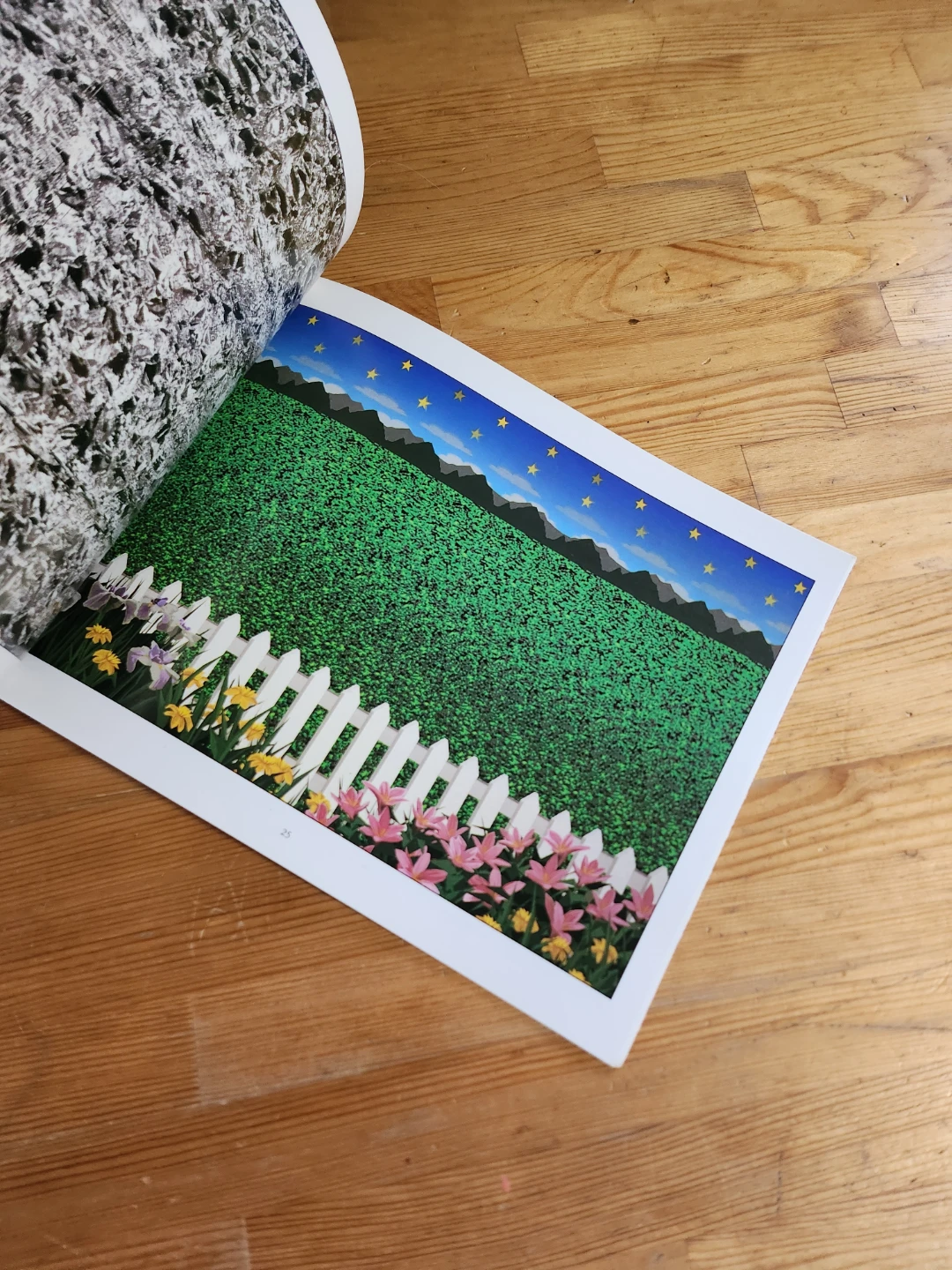 Magic eye book *Missing Cover* - photo 4