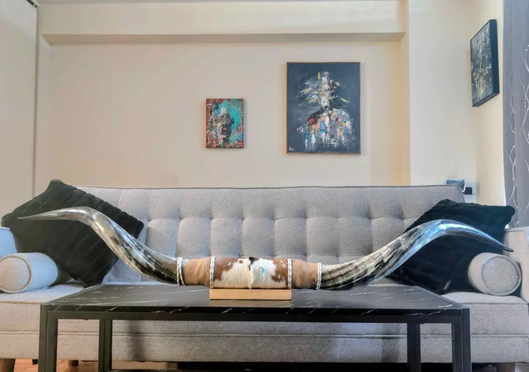Authentic African Ankole Watusi Horn Mount | Genuine Longhorn - photo 2