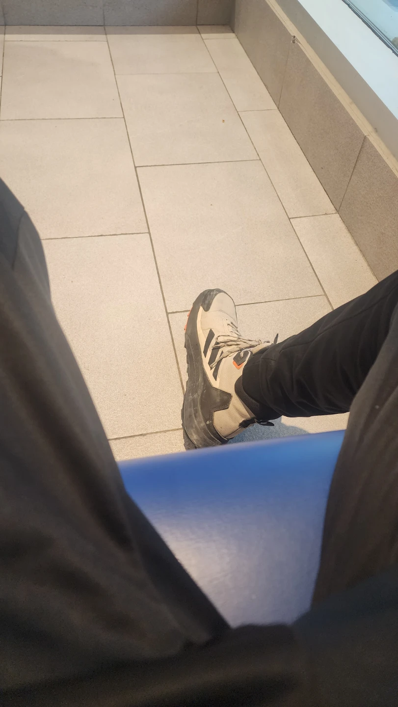 Adidas hiking shoes