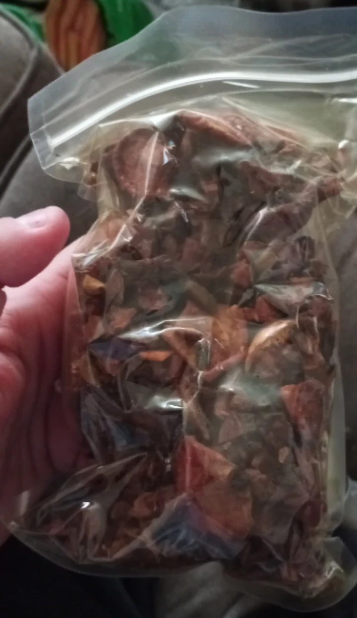 Spiced Apple Fruit Infusion Tea - photo 2