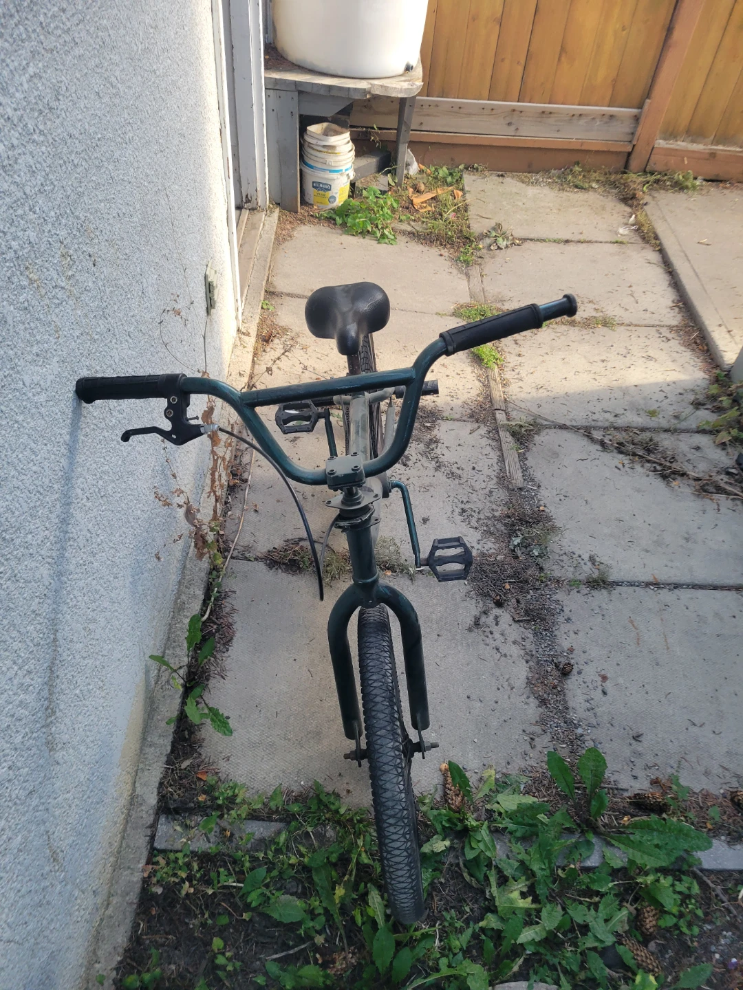 Dark Green BMX Bike - photo 3
