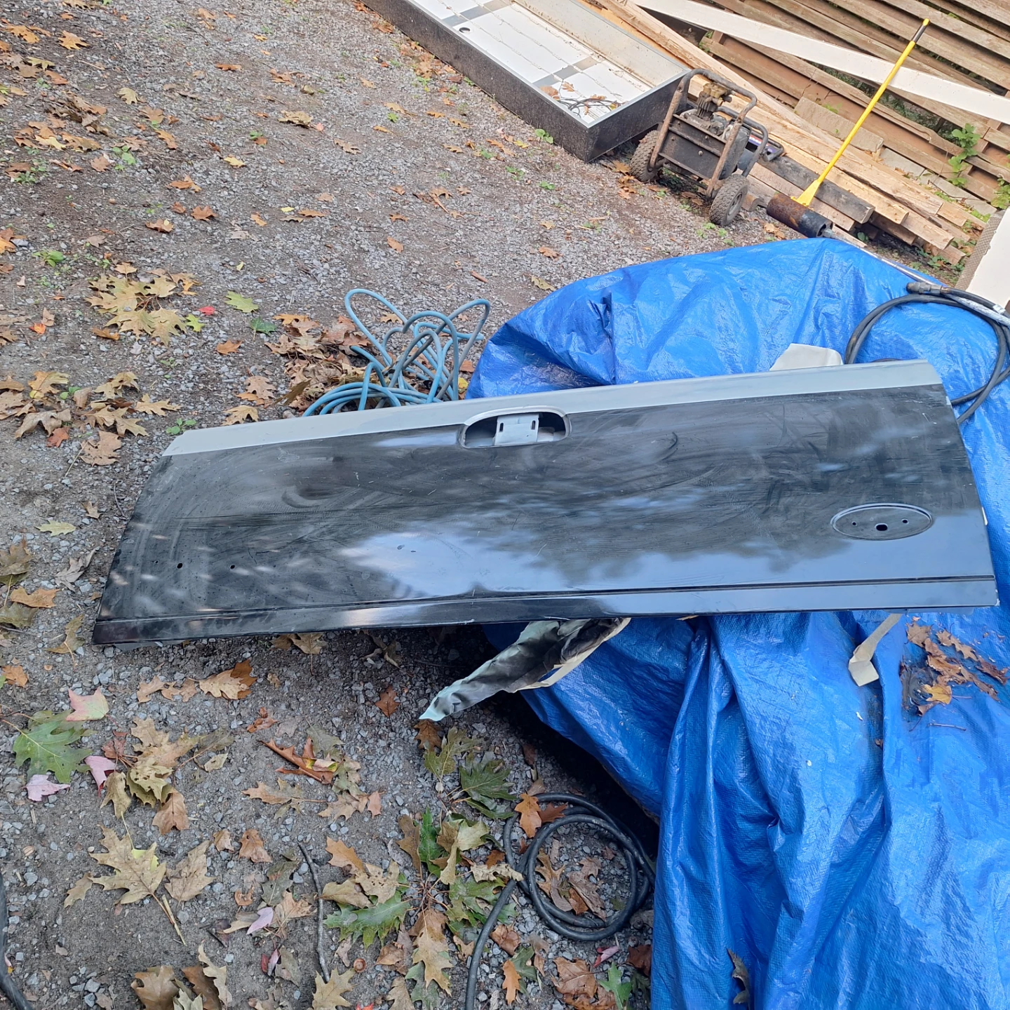 Ford F-150 Pickup Tailgate