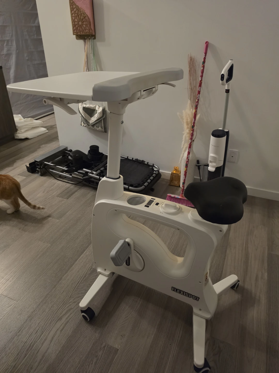 FlexiSpot Desk Bike V9