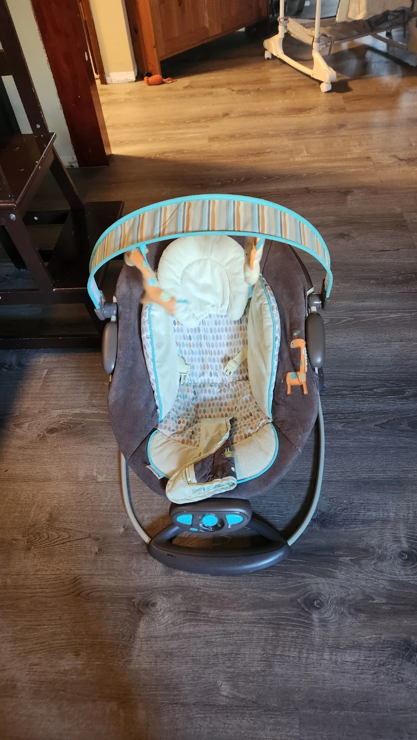 Ingenuity Automatic Bouncer - photo 2