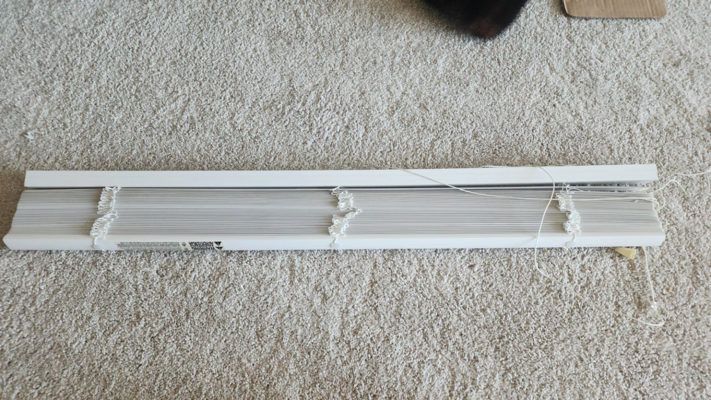 White Window Blinds