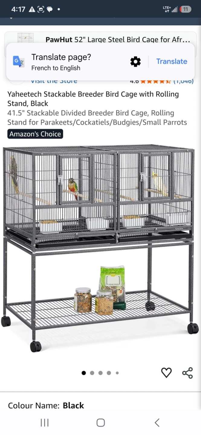 Double bird cage with divider .