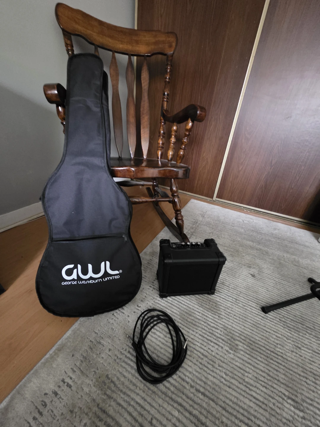 GWL Electric guitar set