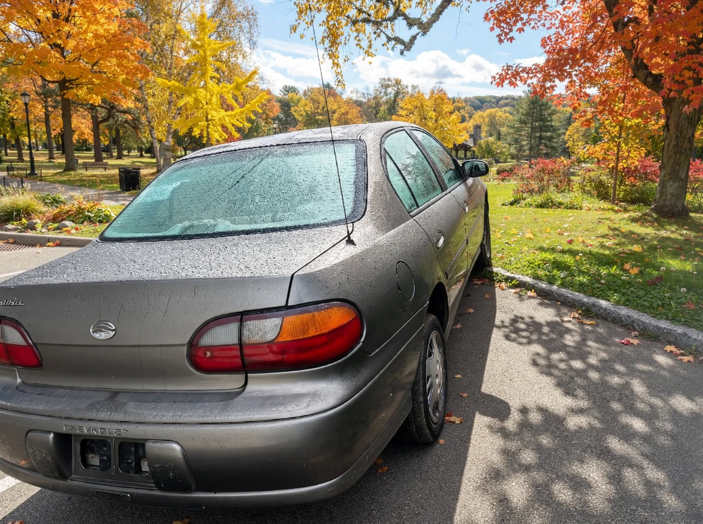 1999  Malibu - photo 5