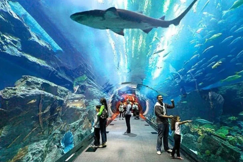 Ripley's Aquarium Flex pass