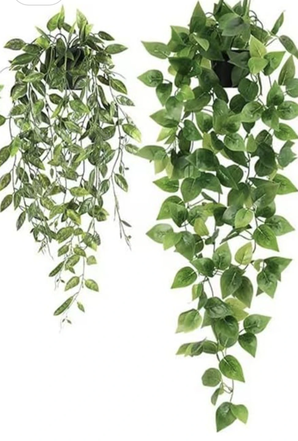 WANTED...Silk or artificial Plants - photo 2