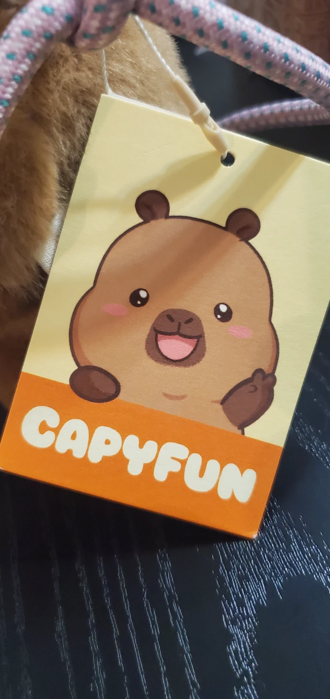 ZARA Capyfun Plush Mini Bag - photo 4