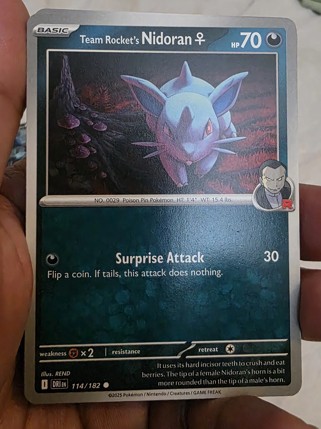 Collection of Pokemon Trading Cards - photo 4