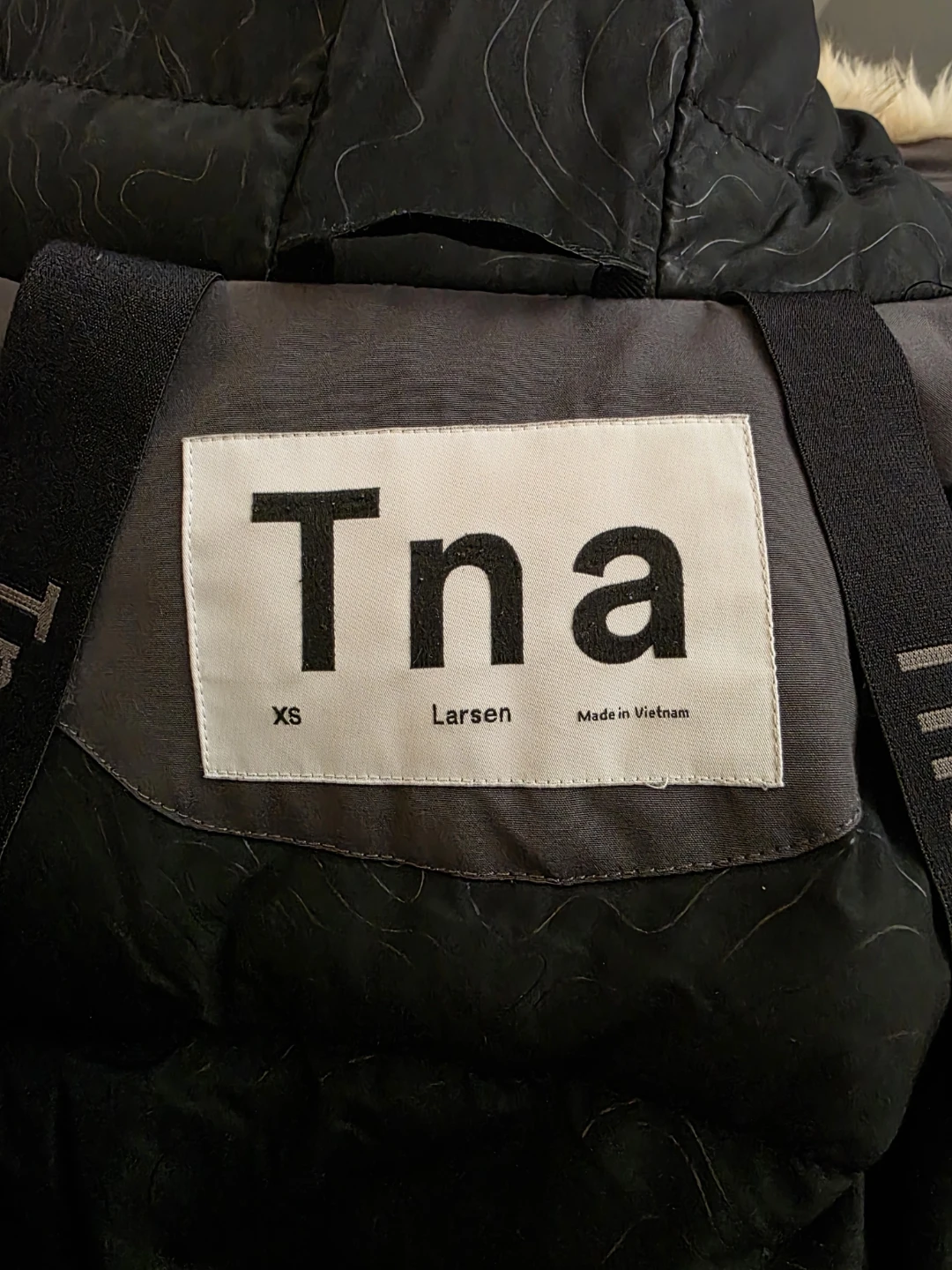 Tna Larsen Parka (Aritzia)
