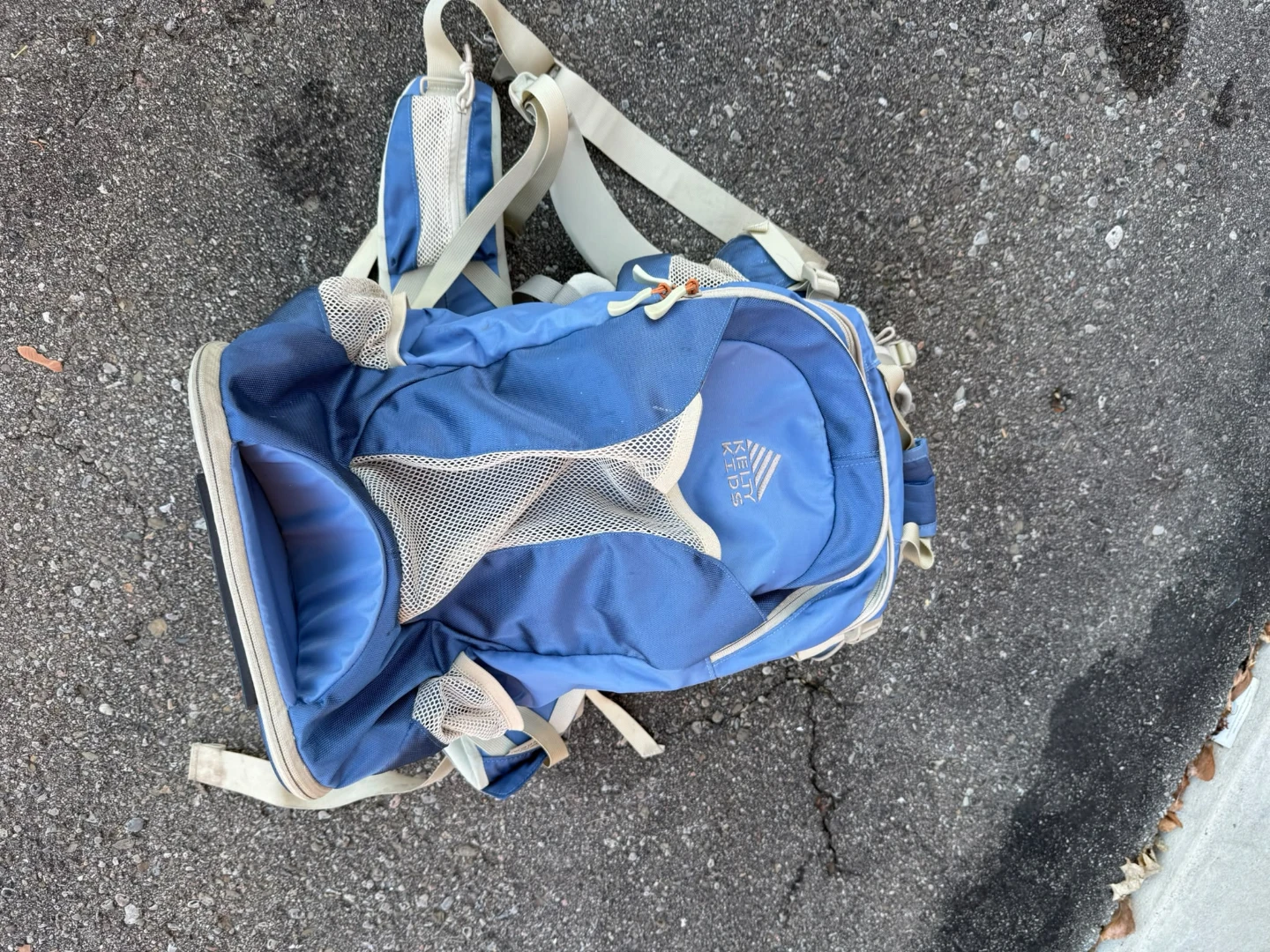 Kelty Kids Blue Child Carrier Backpack - photo 3