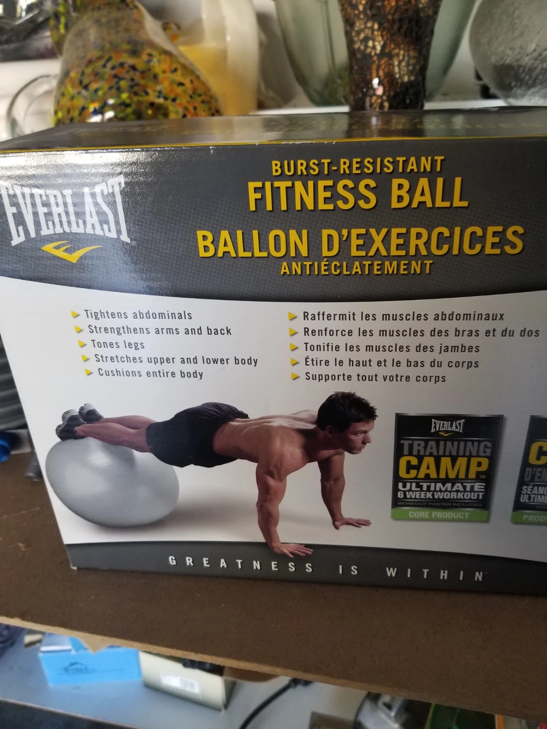 Everlast Burst-Resistant Fitness Ball
