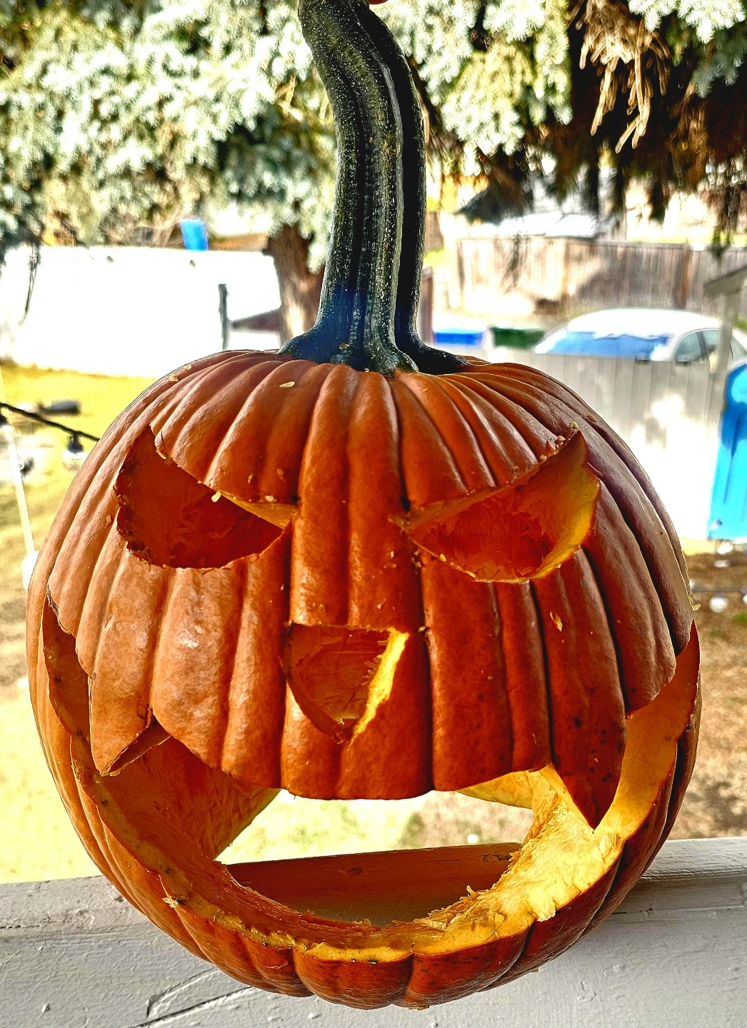 Hand-carved Halloween Jack-o'-lantern