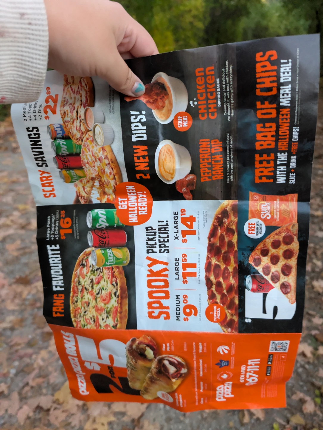 Pizza Pizza Promotional Flyer - photo 2