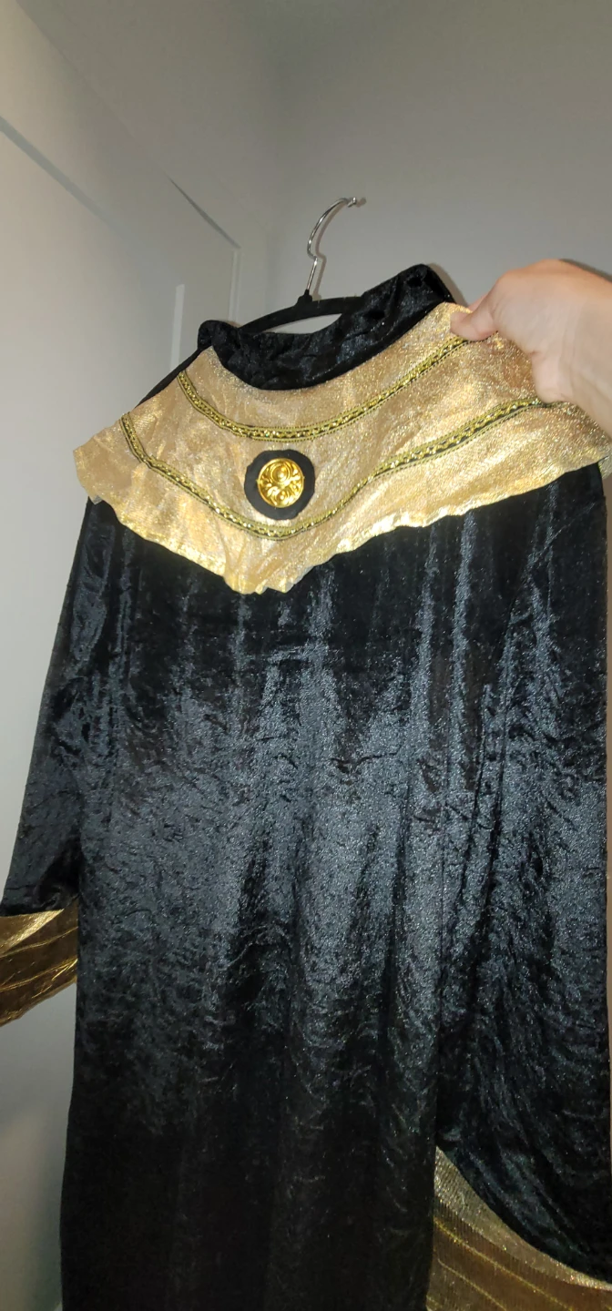 Assorted Halloween Costumes - photo 3