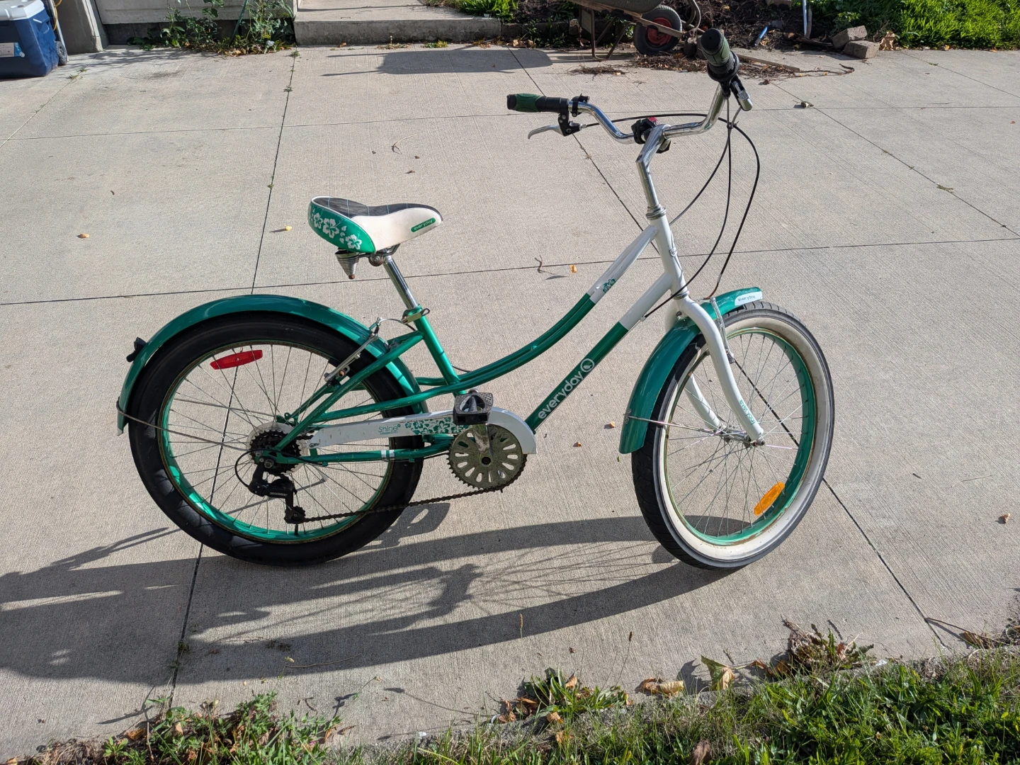 Everyday Cruiser Bike Green and White