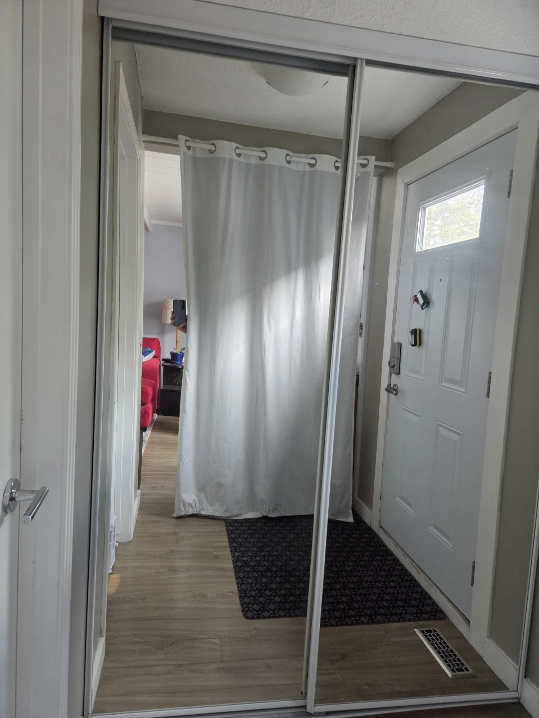 Full Length Mirrored Closet Door - photo 2