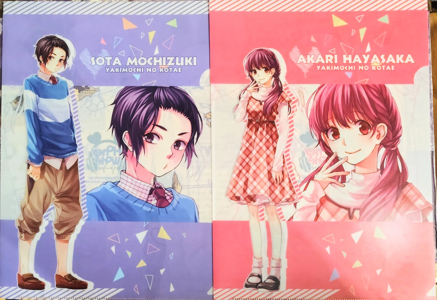 [Set of 5] Anime Clear Folders