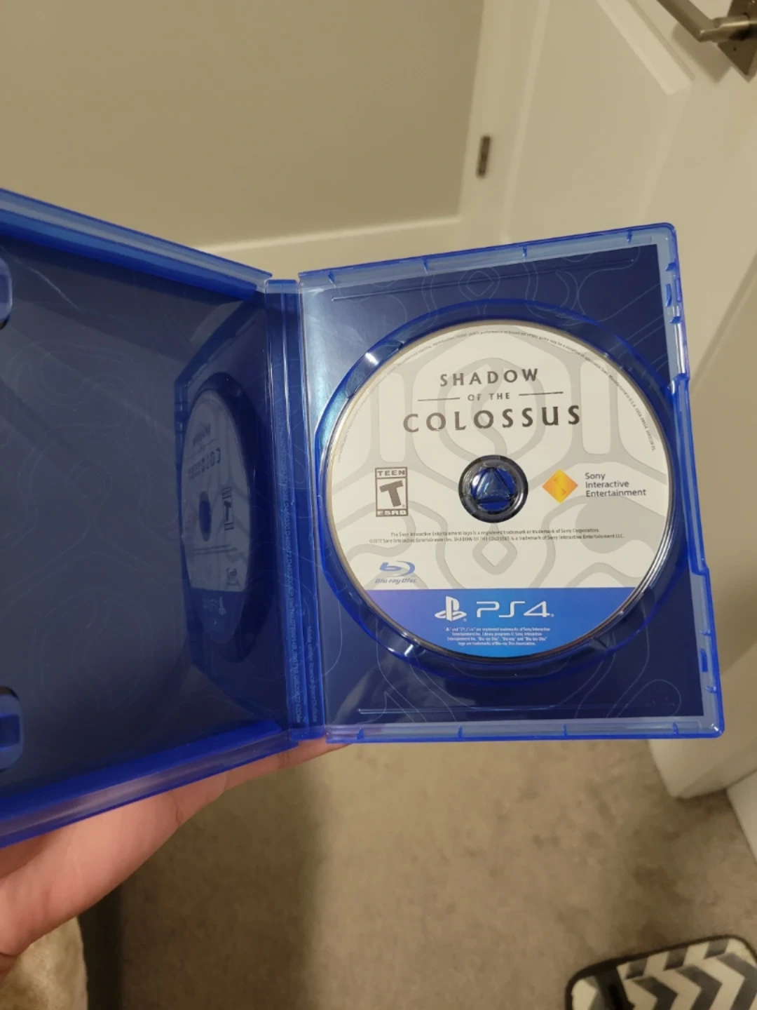 Shadow of the Colossus for PlayStation 4 - photo 3
