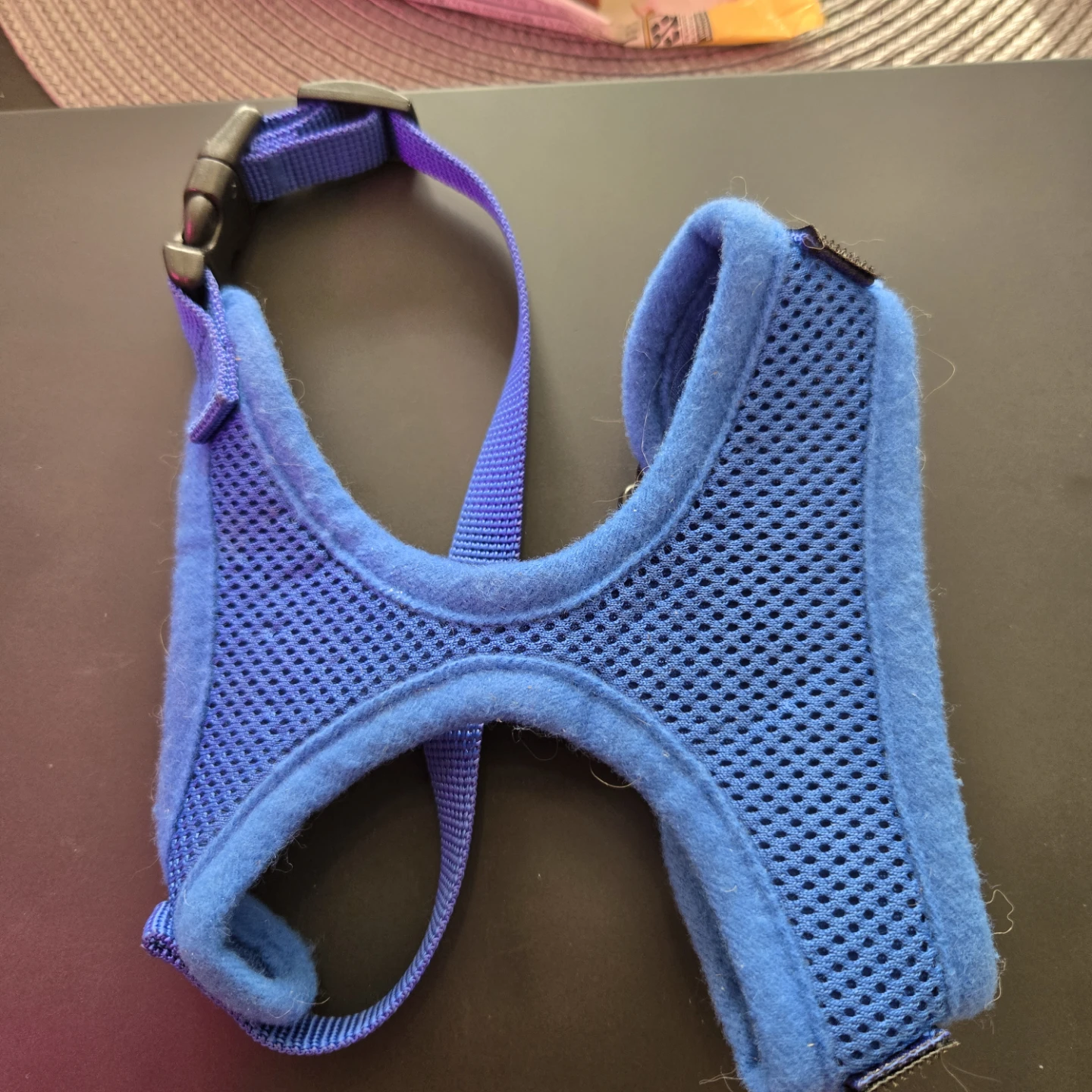 Blue Small Dog Harness
