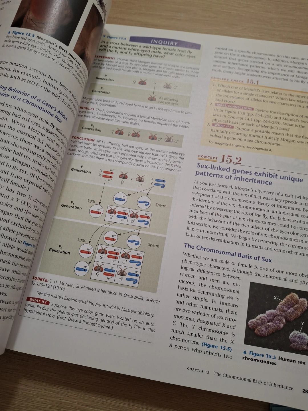Campbell Biology Textbook - U of A Custom Edition - photo 5