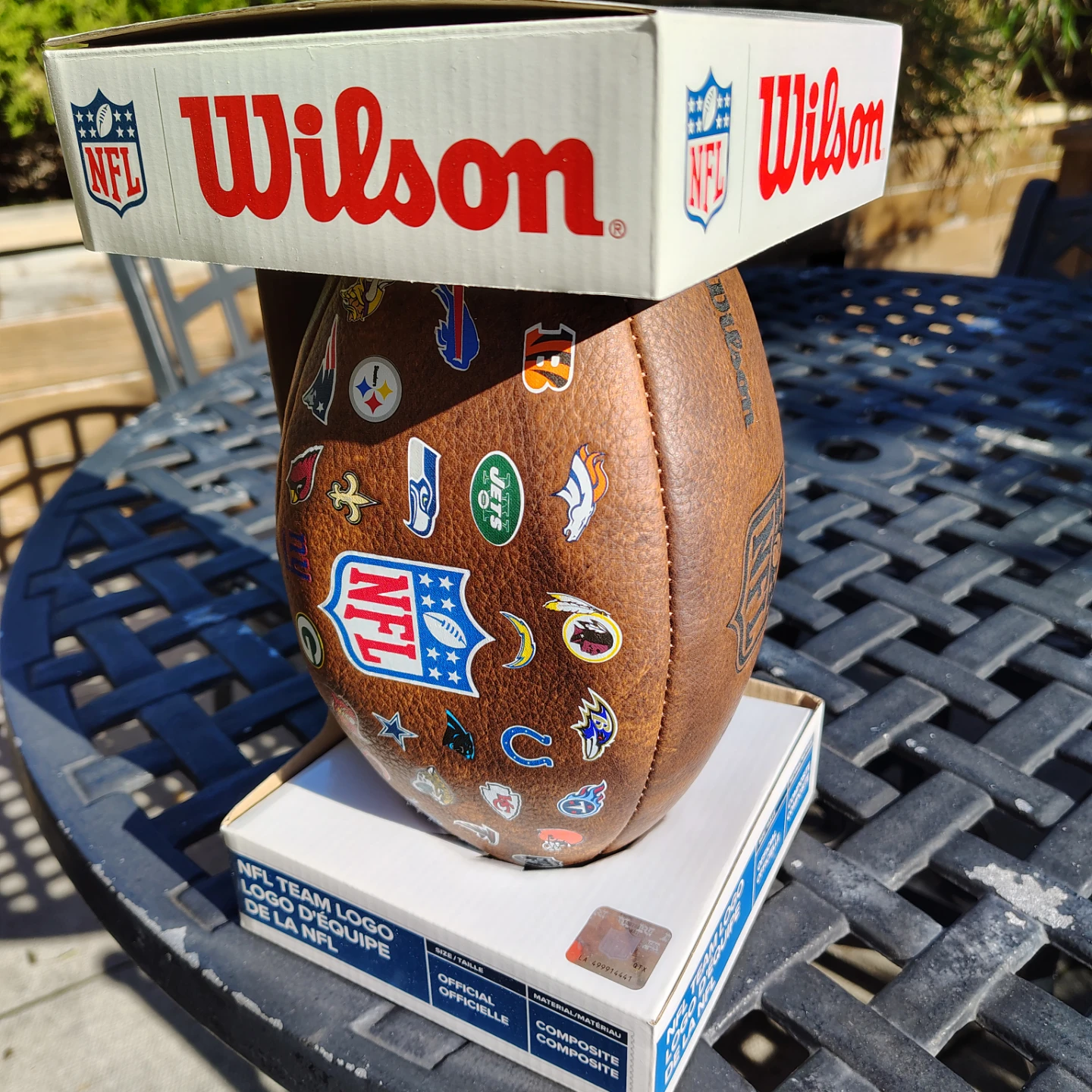 Wilson NFL Team Logo Football (2018)