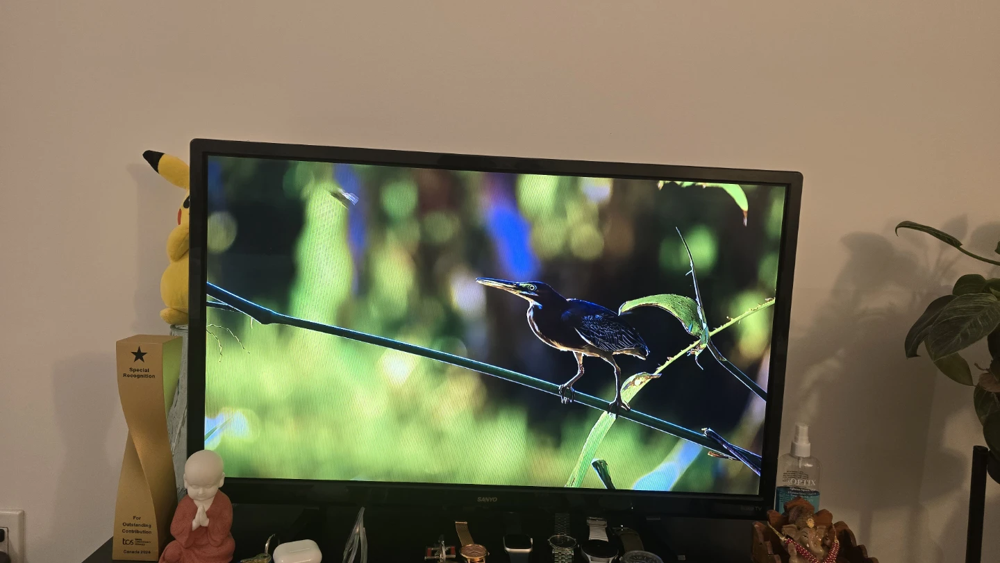 Sanyo Smart TV