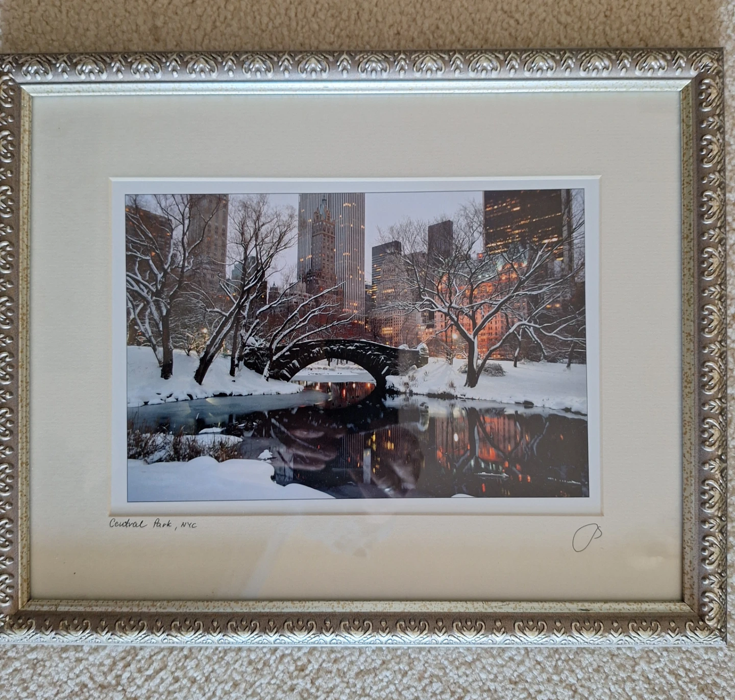 Central Park NYC Framed Photo