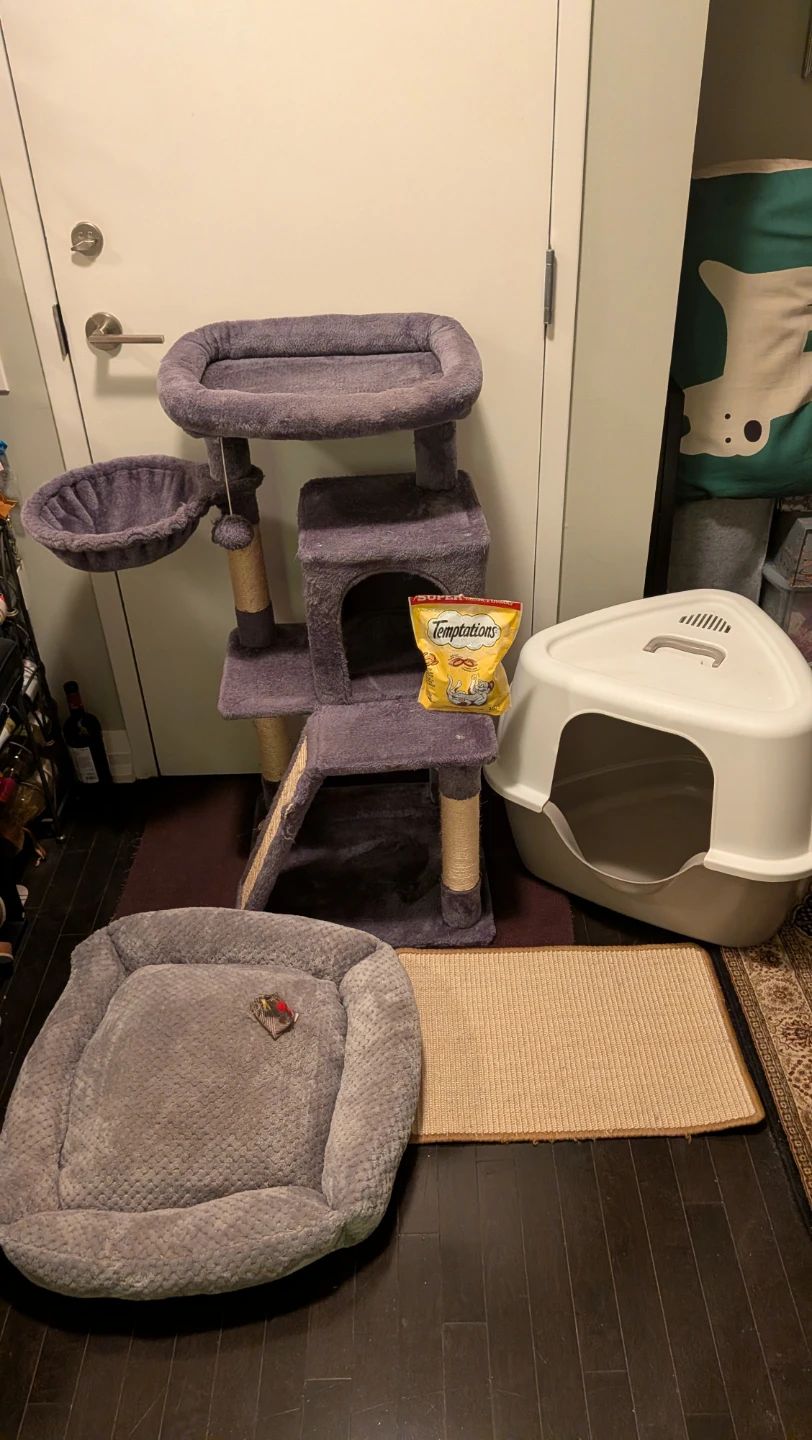 Cat Bundle-Tree, Bed, Mat and Corner Litter Box