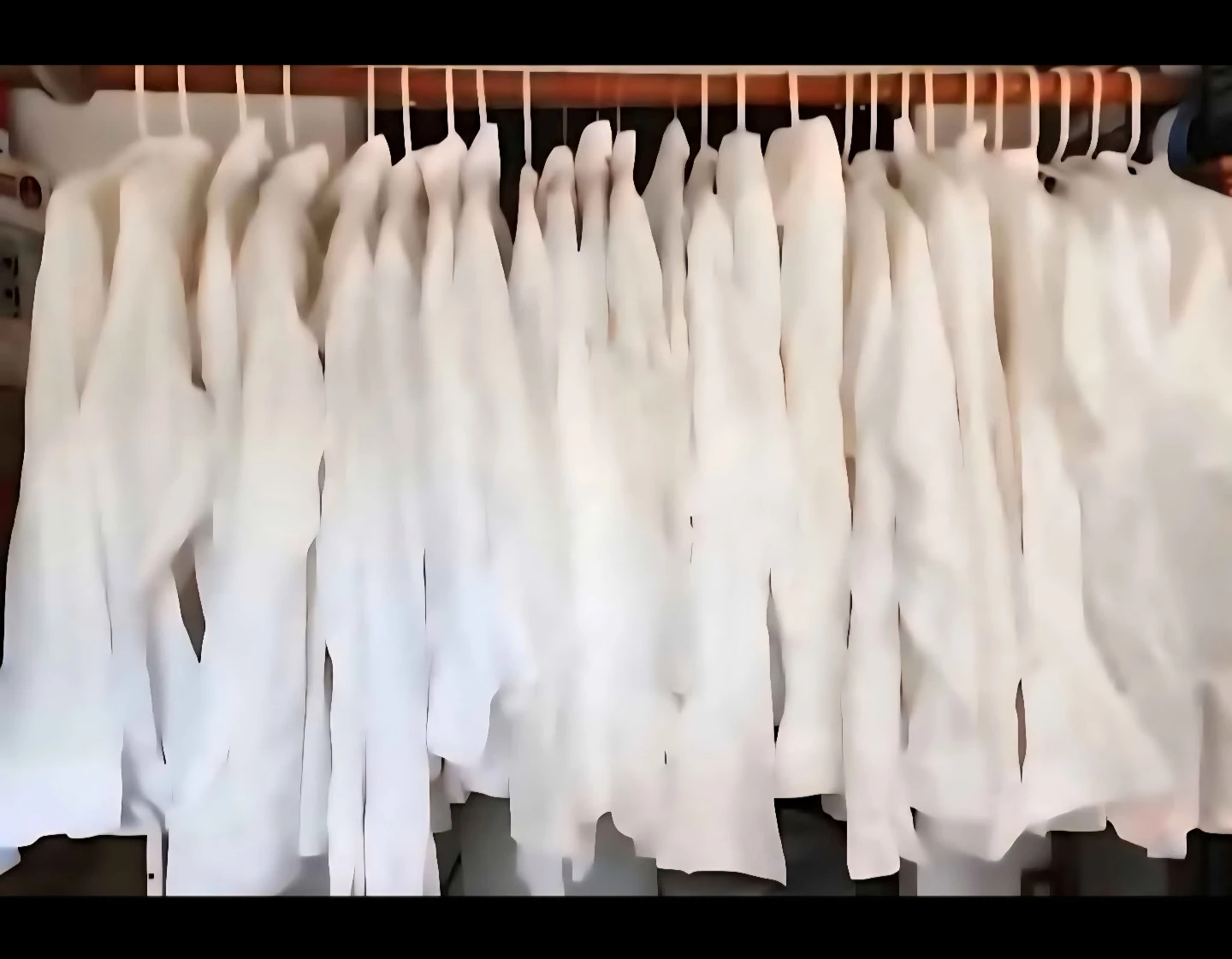 Shirts for women