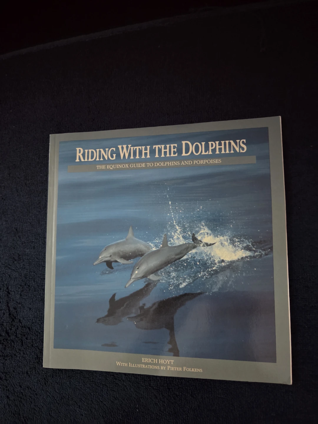 Riding With The Dolphins by Erich Hoyt