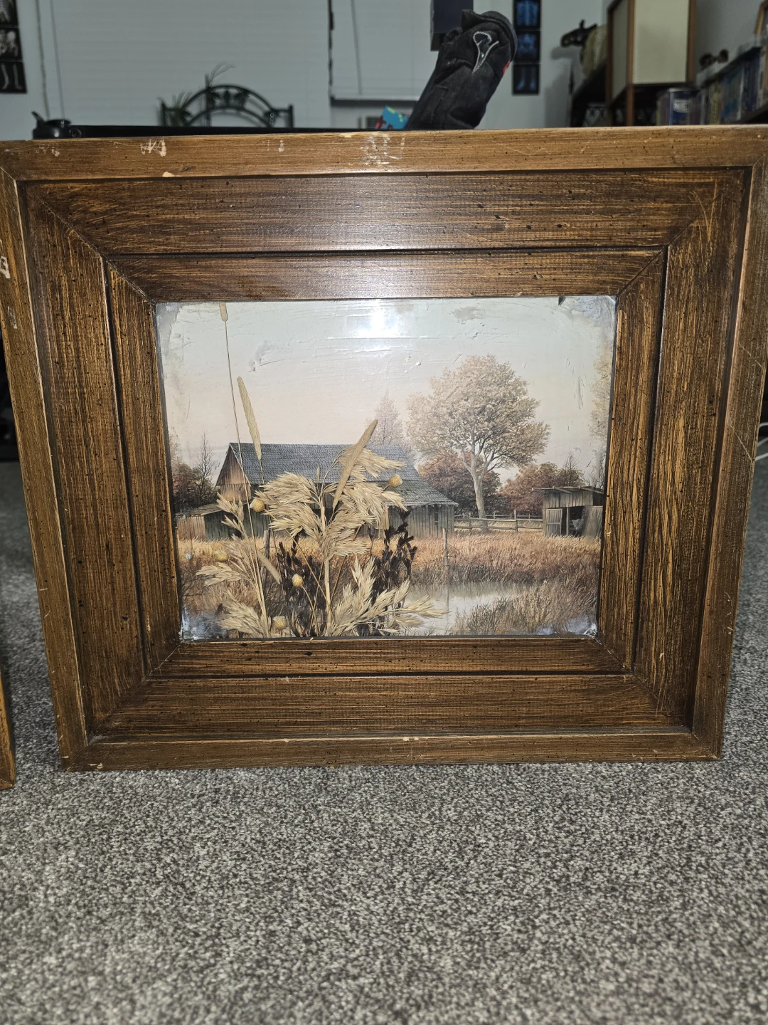 Large Pictures — NEED GONE ASAP - photo 2