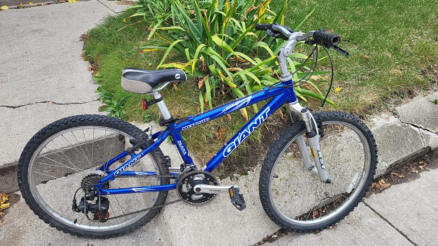 Giant Mountain Bike Mix 240 Blue