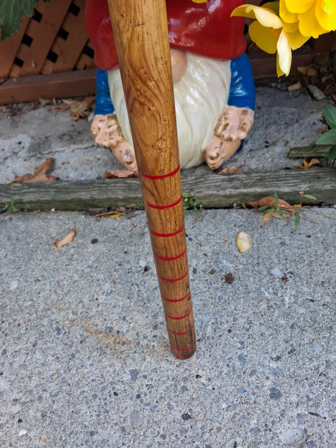 Flower bulb dibbler/ garden walking stick - photo 3