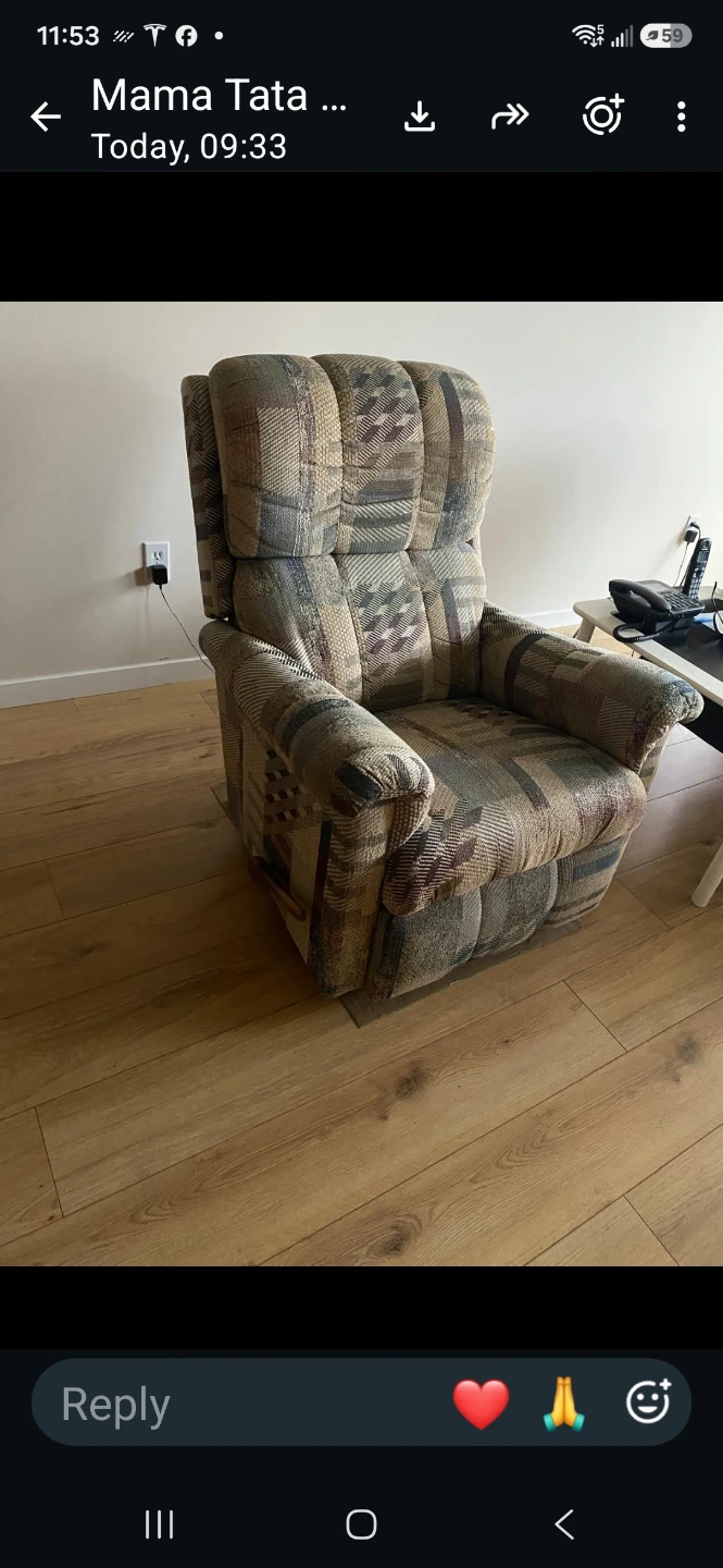 Patterned Reclining Armchair - photo 3