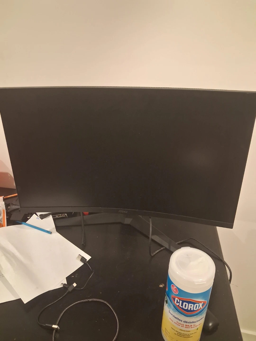 MSI Computer Monitor