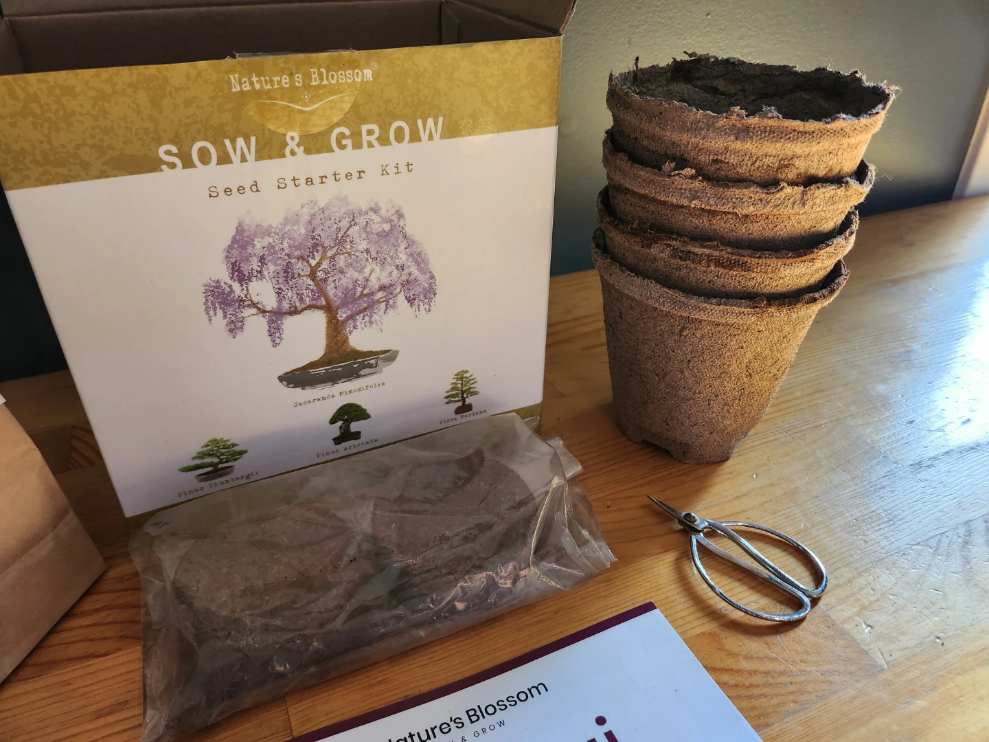 Bonsai Seed Starter Kit Nature's Blossom Sow & Grow (Open box) - photo 3