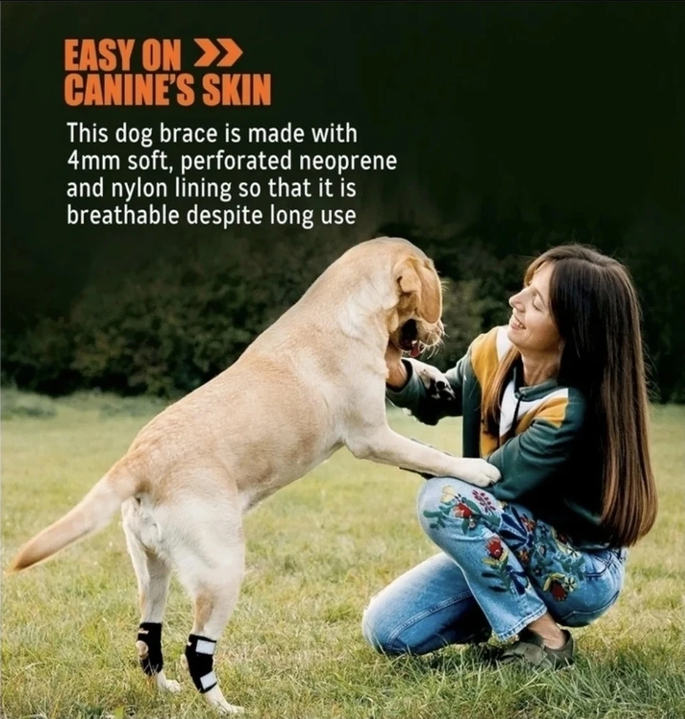 New Super Supportive Dog & Cat Brace for Rear Leg and Hock Brace - photo 4