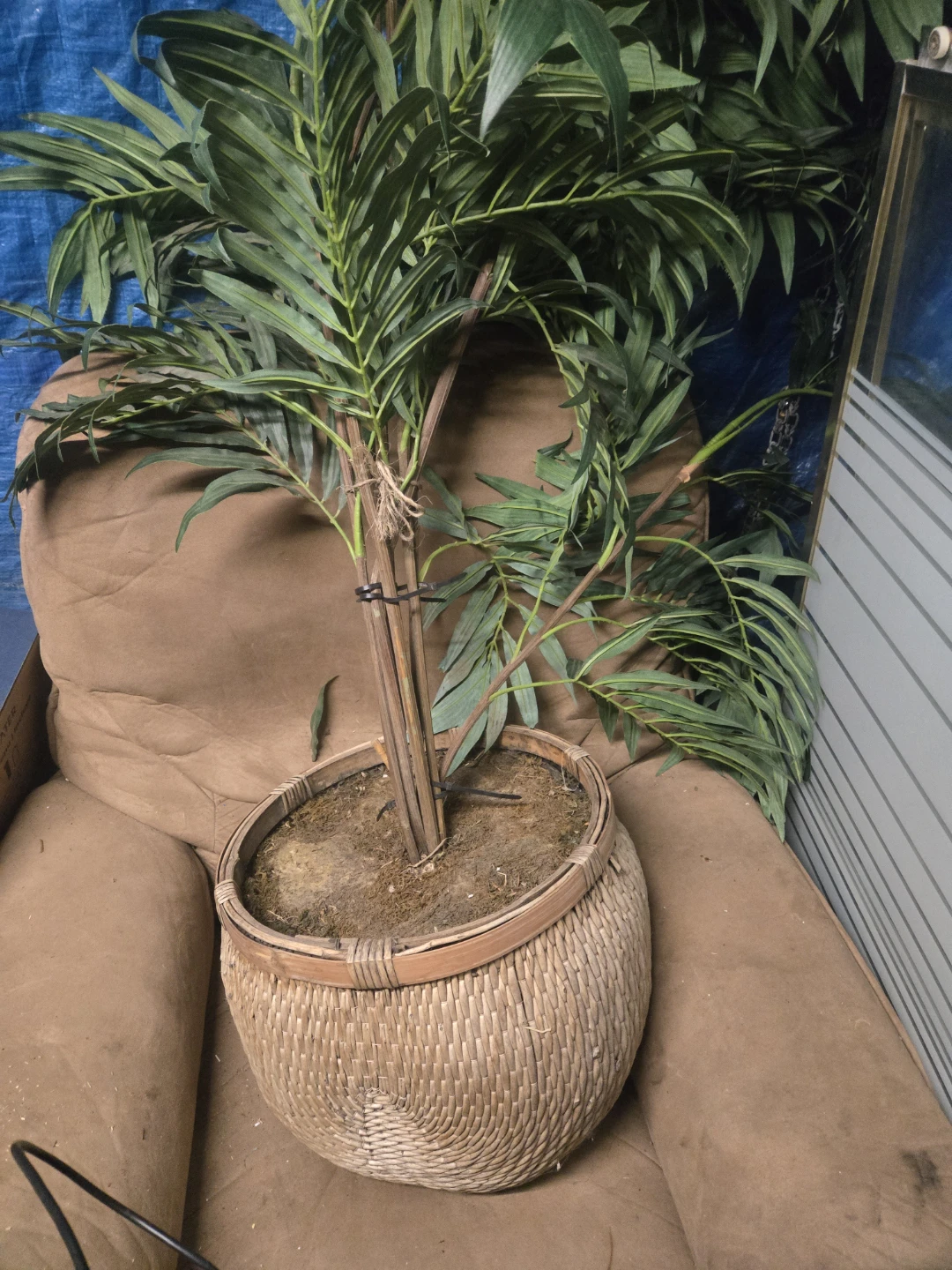 Artificial Palm Plant in Woven Basket - photo 3