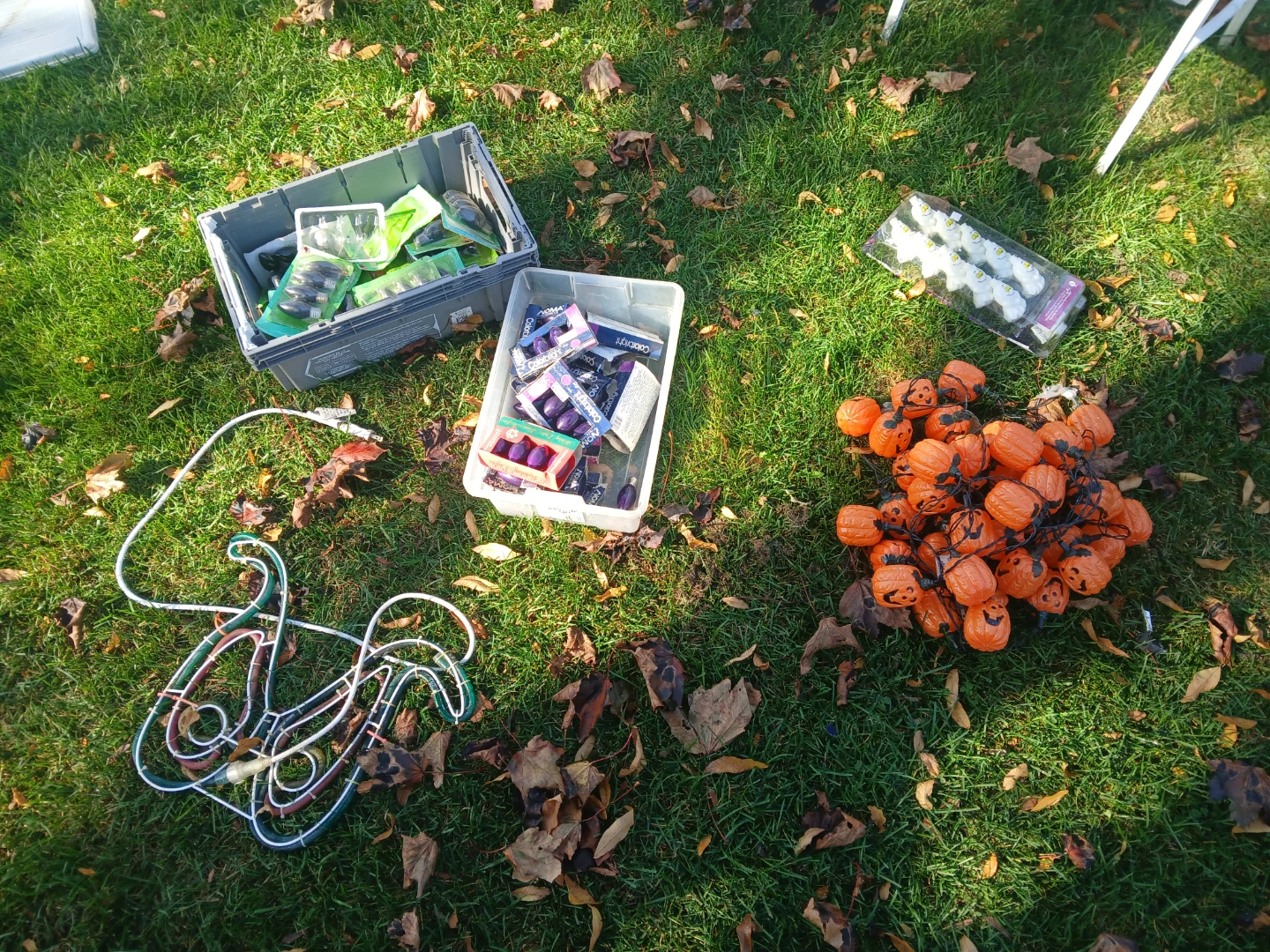 Assorted NOMA Halloween and Decorative Lights