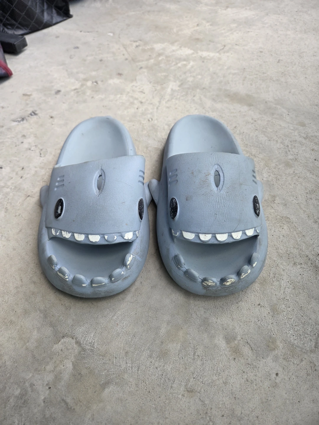 Shark Slides Grey