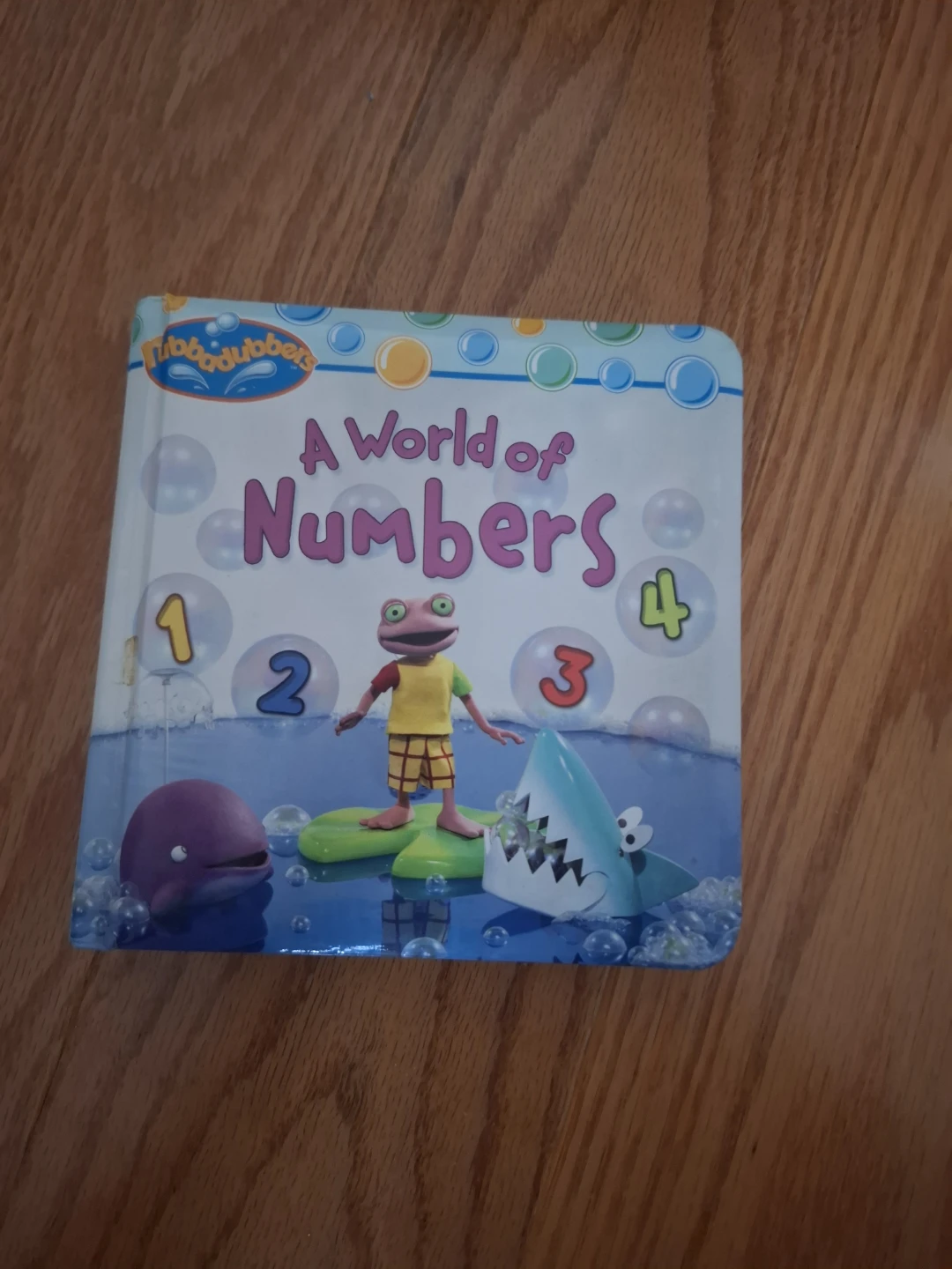 Tubbadubbers A World of Numbers Book