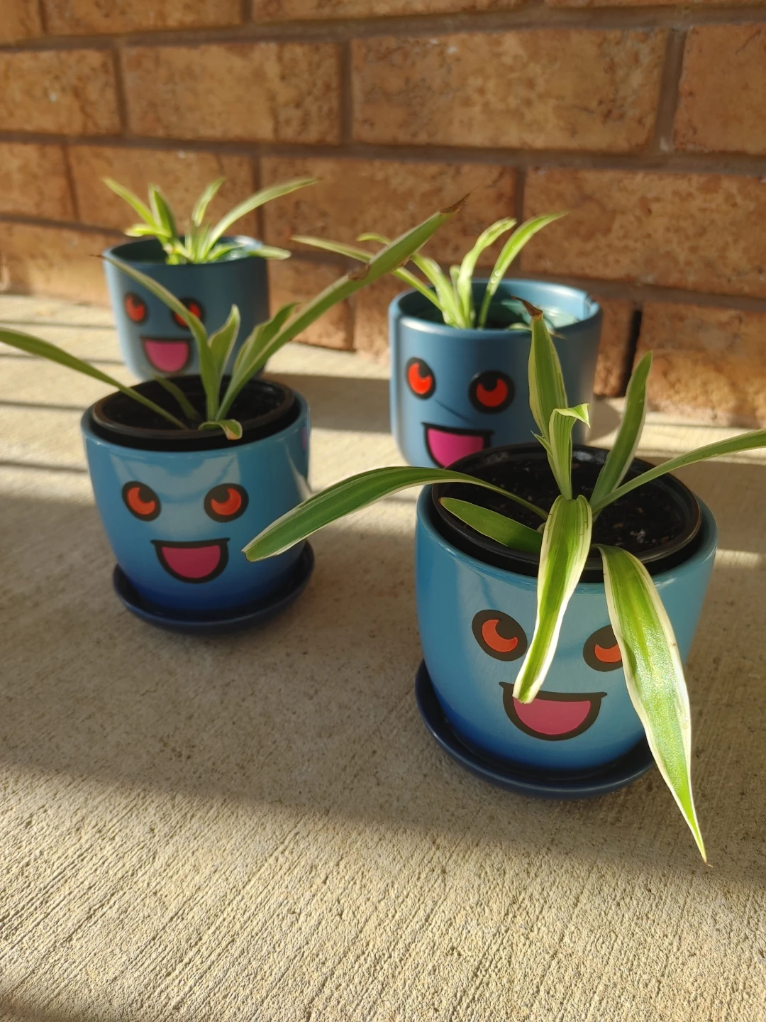 Oddish Plant Pots